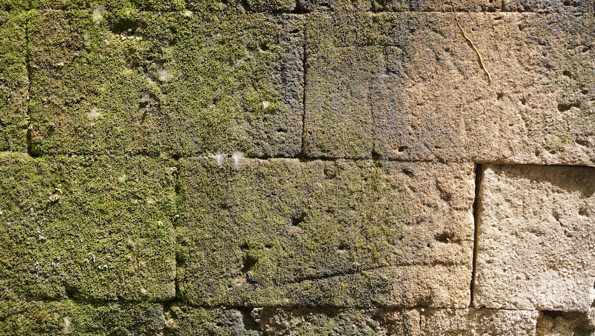 Mur de pierre couvert de mousse verdoyante.