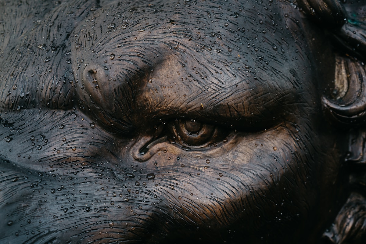 Gros plan d'un visage de créature fantastique couvert de textures rugueuses et de gouttes d'eau.